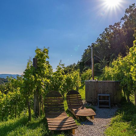 Vineyard Cottage Skatlar 3 Otocec Luaran gambar