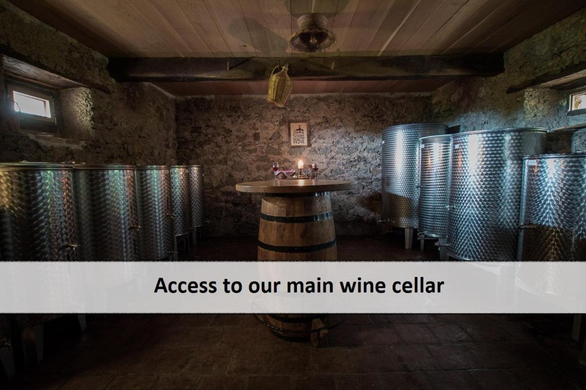 Vineyard Cottage Skatlar 3 Otocec Luaran gambar