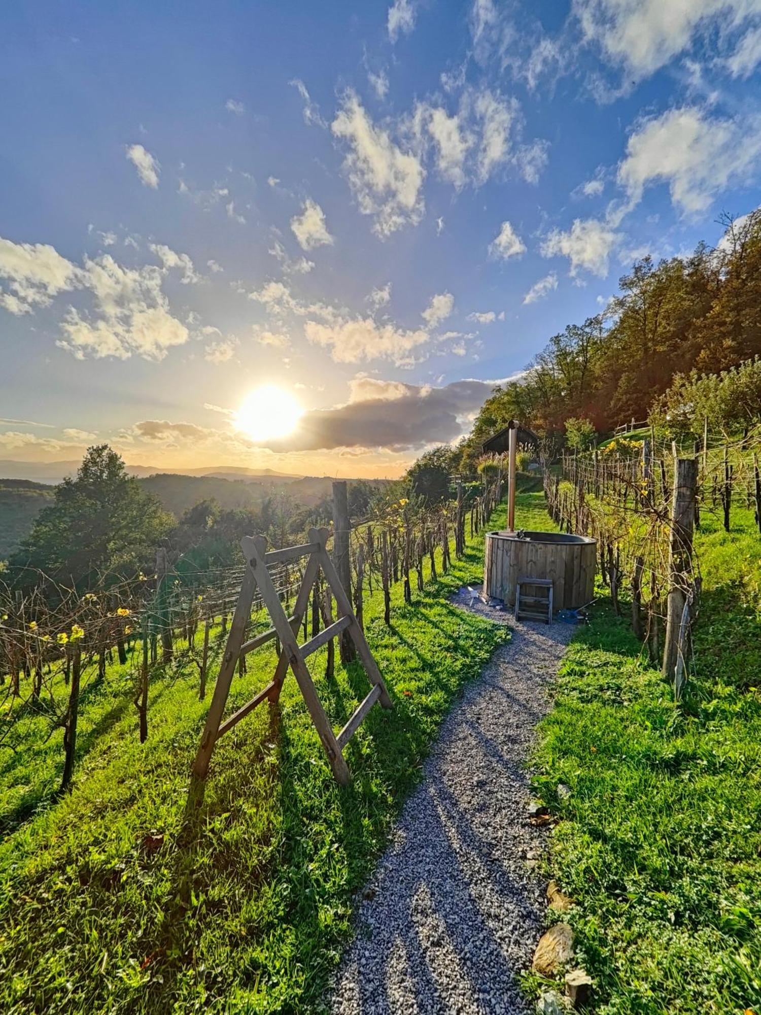 Vineyard Cottage Skatlar 3 Otocec Luaran gambar